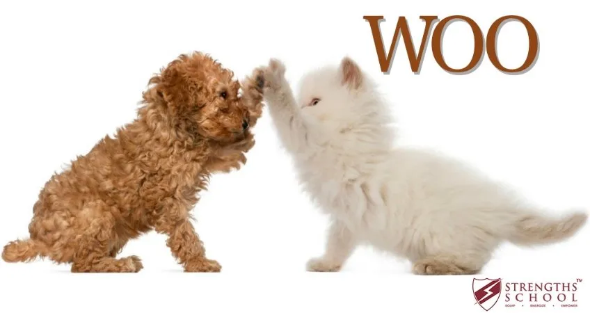 Growing Talent to Strength: Featuring StrengthsFinder 'Woo'