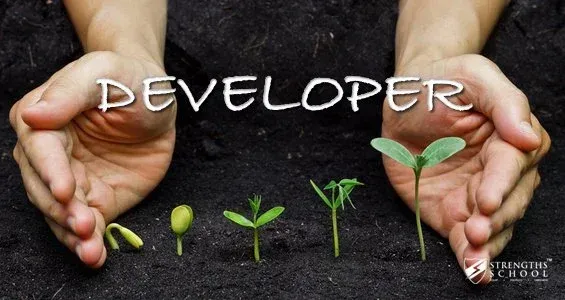 Developer Strengthsfinder Singapore Strengths School..