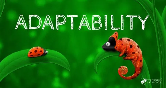 Growing Talent to Strength: Featuring StrengthsFinder 'Adaptability'